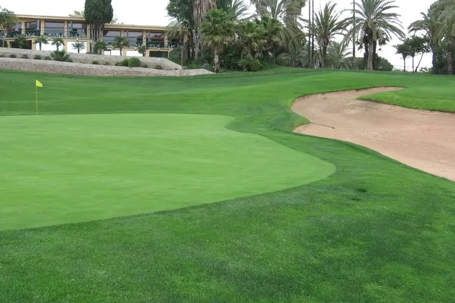 Green con bandera y gran búnker de arena, con palmeras y casa club al fondo